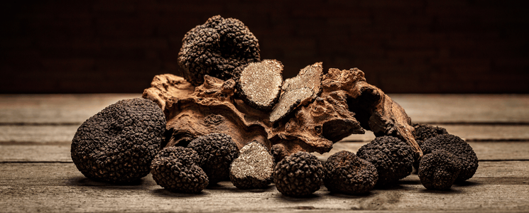 For truffle fans