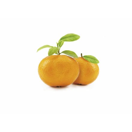Agrimontana Tangerine purée, 1kg