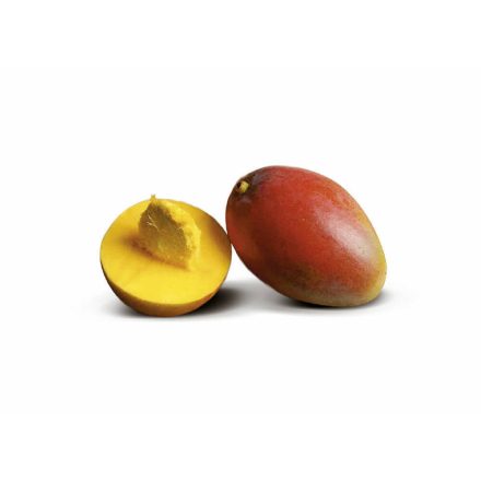 Agrimontana Mango purée, 1kg