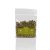 La Nicchia Capers in salt, medium size, 100g