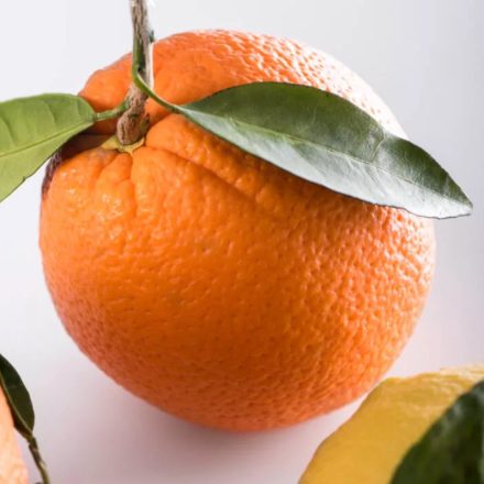 Kezeletlen héjú olasz Navel narancs rekeszben, 10 kg