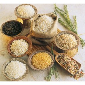 Rice